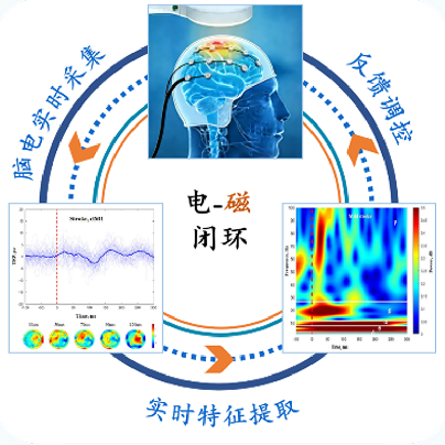 闭环脑机接口